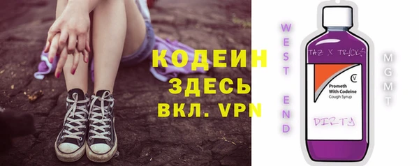 прущий лед Лагань