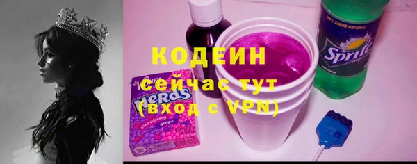 прущий лед Лагань