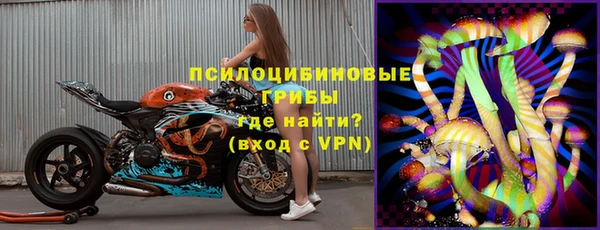 прущий лед Лагань