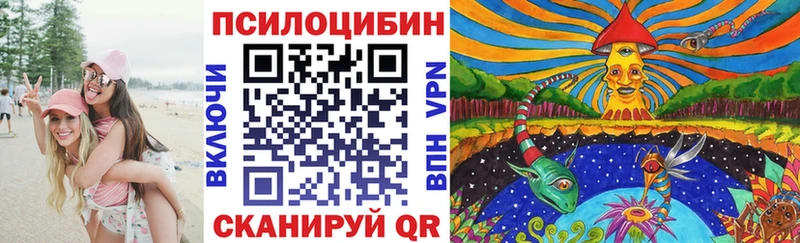 даркнет сайт  Меленки  площадка официальный сайт  Псилоцибиновые грибы мицелий 